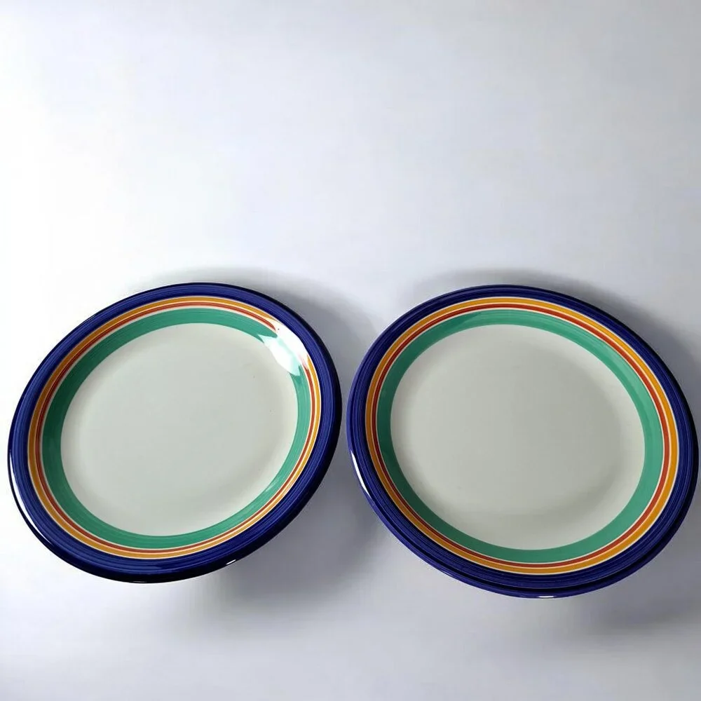 Crate & Barrel Striped Dinner Plates 10” Made In Italy Set Of 2